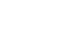 desitadkasl-white-logo