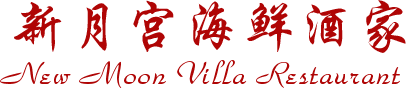 newmoonvilla-logo